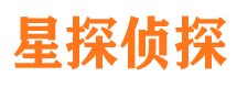 合山市调查公司